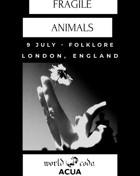 Fragile Animals live in London! 