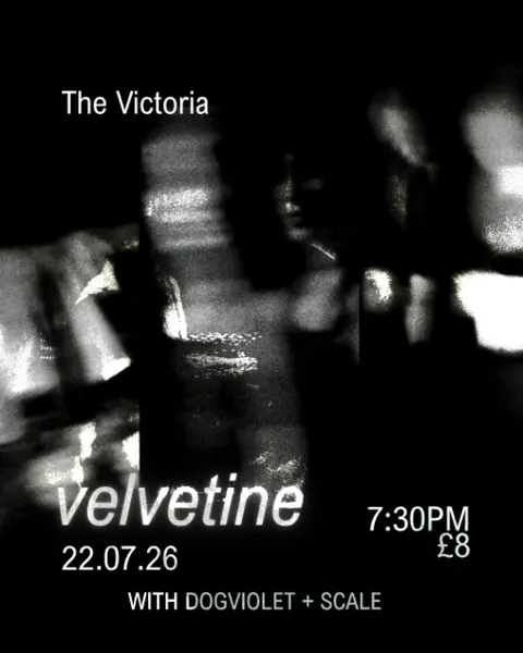 Velvetine + Dogviolet + Scale 