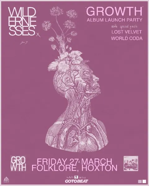 Wildernesses Album Release Show!