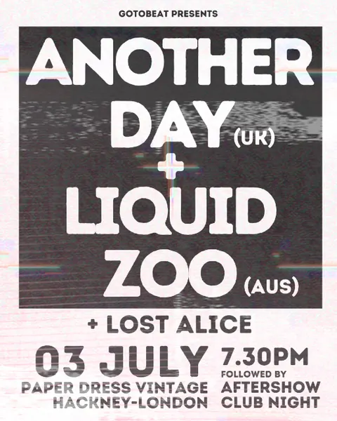 Another Day X Liquid Zoo X Lost Alice live at Paper Dress Vintage