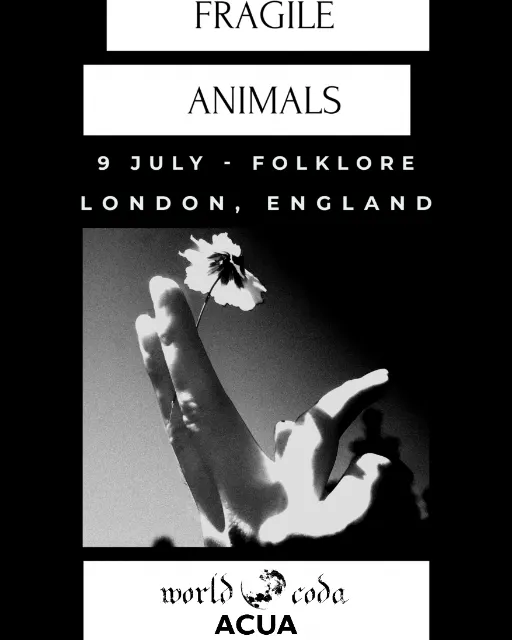 Fragile Animals live in London! 