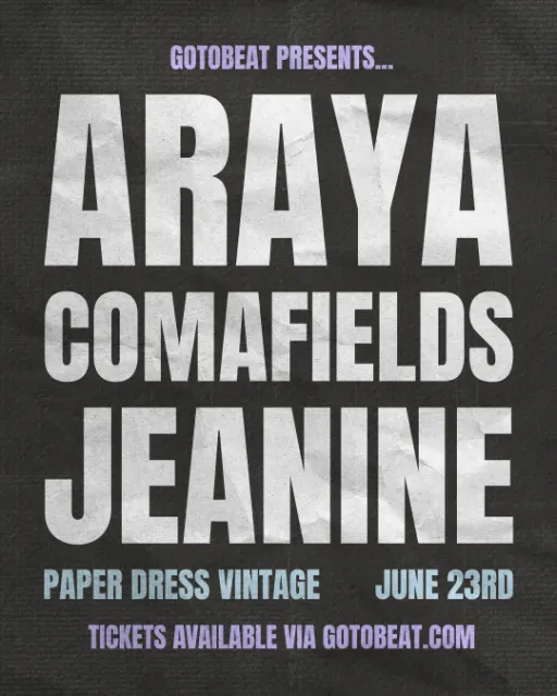 Araya, Comafields & jeanine live at Paper Dress Vintage