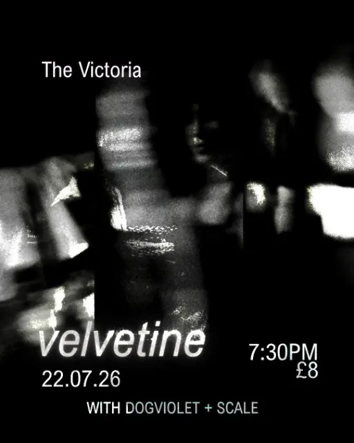 Velvetine + Dogviolet + Scale