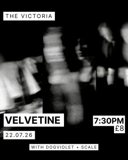 Velvetine + Dogviolet + Scale