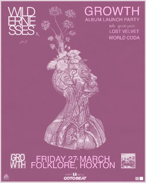 Wildernesses Album Release Show!