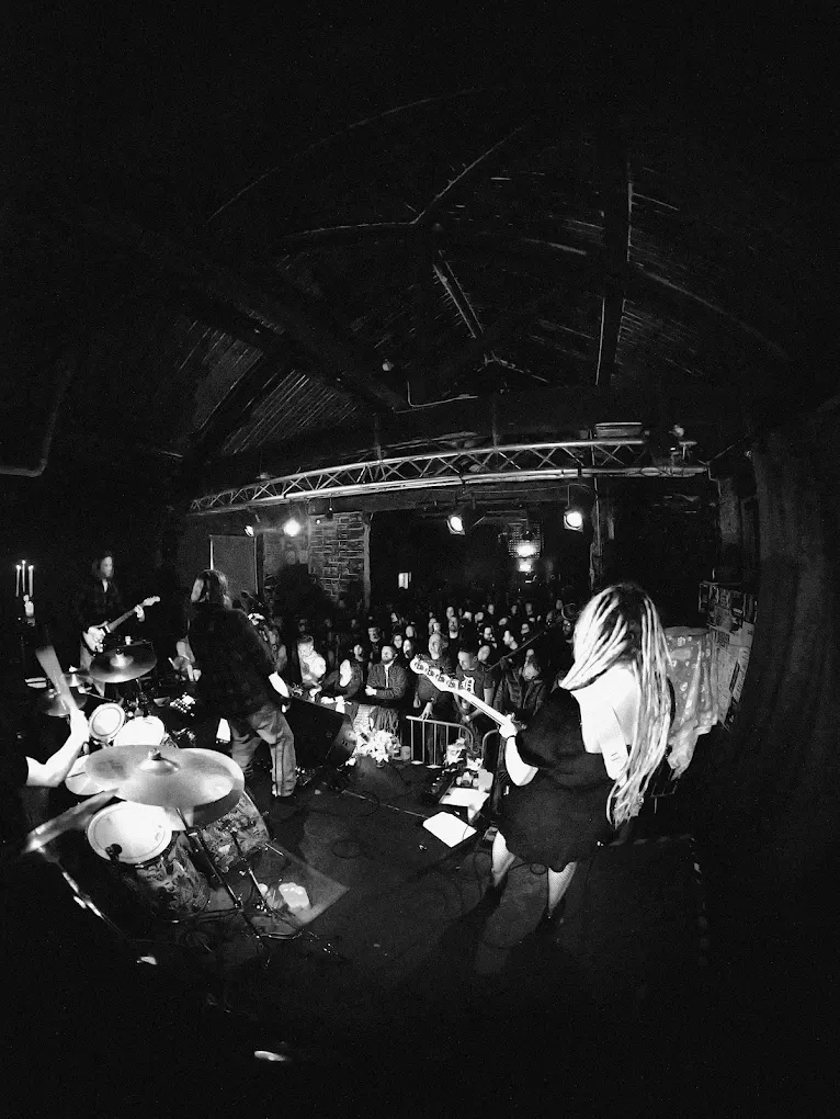 Lion's Den